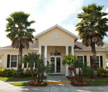live-oaks1