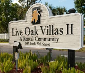 live-oaks2