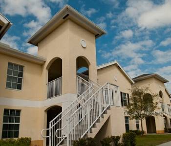 live-oaks3