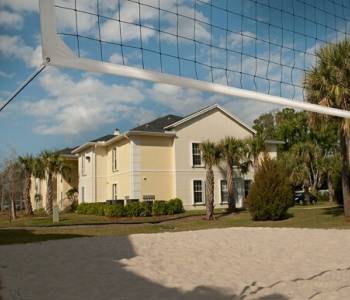 live-oaks4