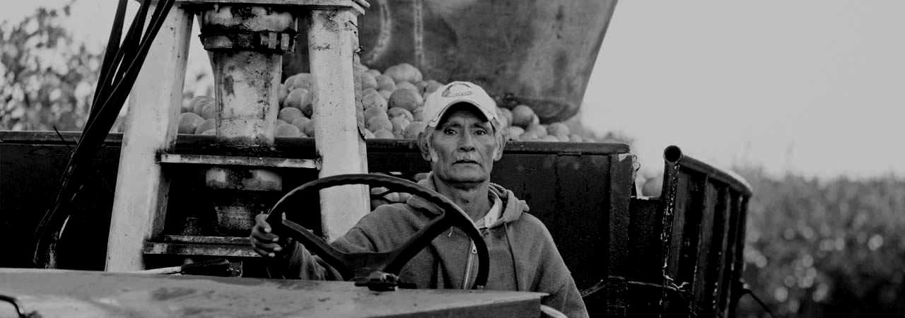 Farmworker riding a truck